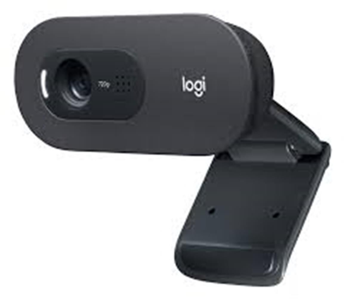 Logitech 960-001372 C505E HD Webcam - Siyah