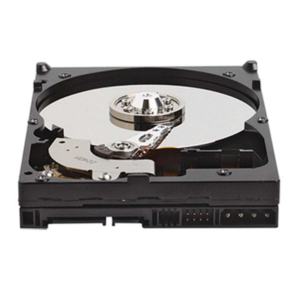 Wd 250GB 7200RPM 3.5'' Sata 3 Sabit Disk (WD2500AVVS) Harddisk